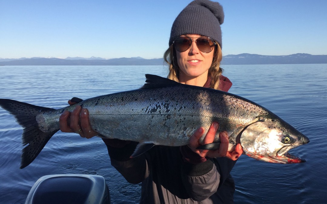 January 2016 –  East Coast Vancouver Island Fishing Report